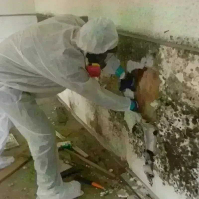 Mold Remediation and Removal in Ashburnham, MA